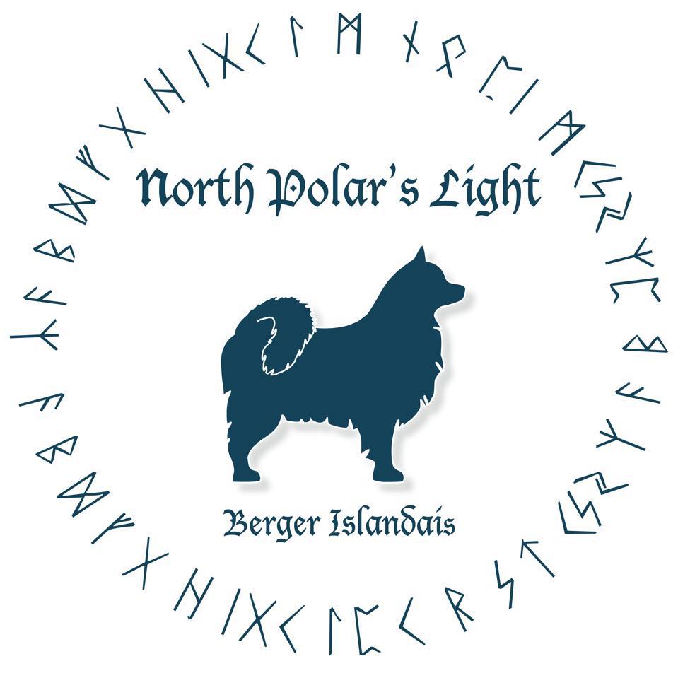 North Polar’s Light